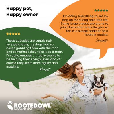 Natural Turmeric Vegan Capsules Vitamin Supplement with Black Pepper for Dogs & Cats, 60 count