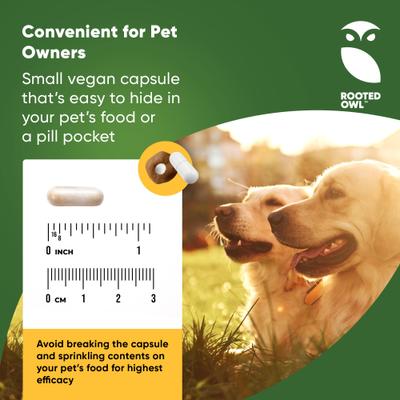 Natural Turmeric Vegan Capsules Vitamin Supplement with Black Pepper for Dogs & Cats, 60 count