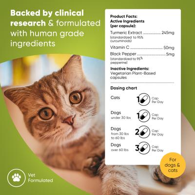 Natural Turmeric Vegan Capsules Vitamin Supplement with Black Pepper for Dogs & Cats, 60 count