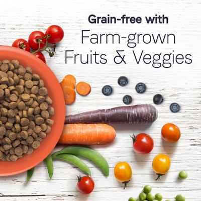 Under the Sun Grain-Free Chicken Recipe Adult Dry Dog Food, 40-lb bag