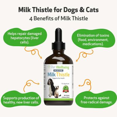 Milk Thistle Bacon Flavored Liquid Liver Supplement for Dogs & Cats, 4-oz bottle