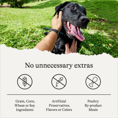 Savory Toppers Salmon Recipe in Gravy Grain-Free Dog Food Topper, 3-oz pouches, case of 24