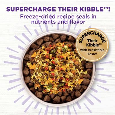 Bundle: Wellness CORE Digestive Health Wholesome Grains Chicken & Brown Rice Recipe Dry Food + Bowl Boosters Digestive Health Dry Dog Food Topper