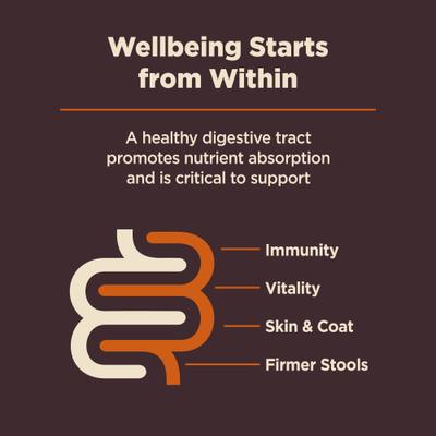 Bundle: Wellness CORE Digestive Health Wholesome Grains Chicken & Brown Rice Recipe Dry Food + Bowl Boosters Digestive Health Dry Dog Food Topper