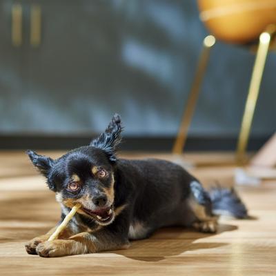 DogLicious 5" Chicken Basted Twist Sticks Dog Treats, 20 count