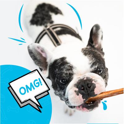 12-in Dog Bully Sticks Treat, 20 count