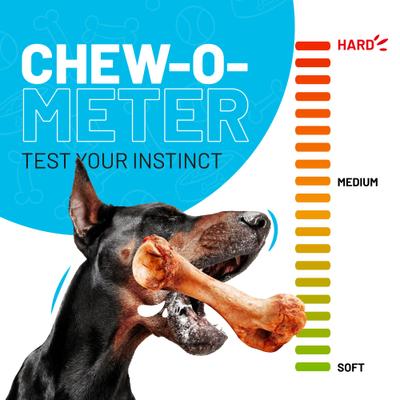 12-in Dog Bully Sticks Treat, 20 count