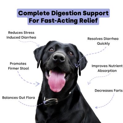 Ultimate Digestion Smoked Turkey Flavored Chews Digestive Aid for Dogs, 90 count