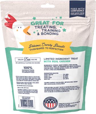 Rewards Chicken Flavored Crunchy Biscuit Dog Treats, 14-oz bag
