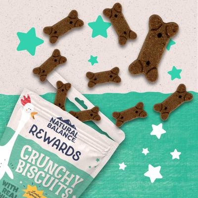Rewards Chicken Flavored Crunchy Biscuit Dog Treats, 14-oz bag