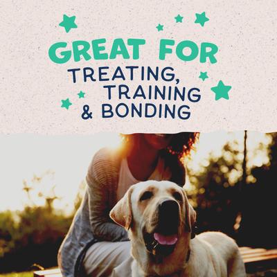 Galletas crujientes con sabor a pollo Rewards para perros, bolsa de 14 oz