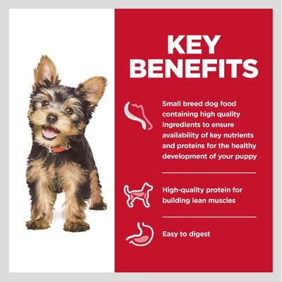 Bandejas de alimento húmedo para cachorros de razas pequeñas y mini, estofado sabroso de pollo y verduras, 3.5 oz, 12 unidades