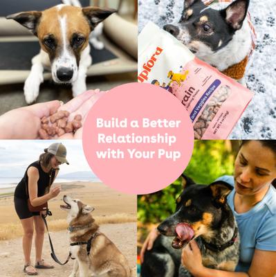 Train Turkey & Veggies Natural Freeze-Dried Dog Treats, 3-oz pouch