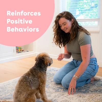 Train Turkey & Veggies Natural Freeze-Dried Dog Treats, 3-oz pouch