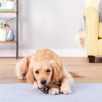 Masticable para perros con asta de alce partida salvaje, tamaño mediano