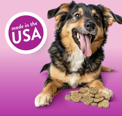 Beef Prime Rib Biscuits Crunchy Dog Treats, 24-oz bag