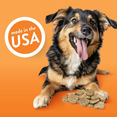 Cheddar Bites Cheese Flavored Biscuits Crunchy Dog Treats, 24-oz bag