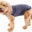 Recovery Suit Post-Surgery Dog Onesie, Grey, XX-Large