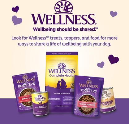 Galletas mini horneadas para perros Wellness Classic Just Vegg'N Natural, bolsa de 20 oz