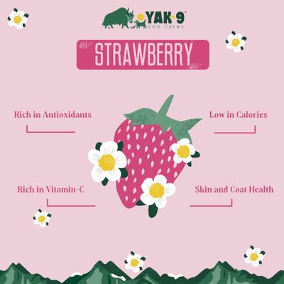 Strawberry Yak Chew Dog Treat, Small, 1 count