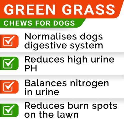 Grass Burn Spot & Urine Neutralizer & Grass Spot Saver with Methionine Enzymes Chew Supplement for Dogs, 120 count