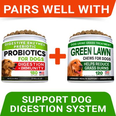 Grass Burn Spot & Urine Neutralizer & Grass Spot Saver with Methionine Enzymes Chew Supplement for Dogs, 120 count