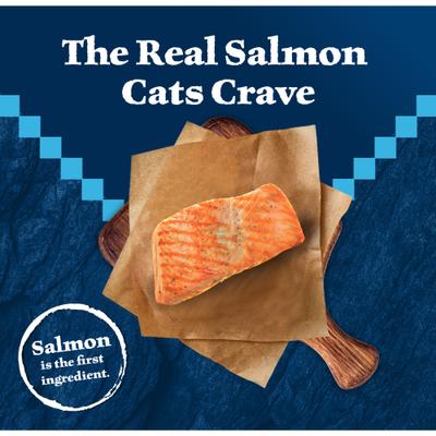 Bundle: Blue Buffalo Wilderness Chicken Recipe + Salmon Recipe Dry Cat Food