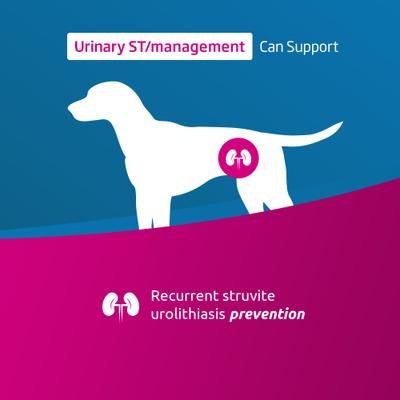 Urinary ST Management Canine Wet Dog Food, 10.58-oz can, case of 6