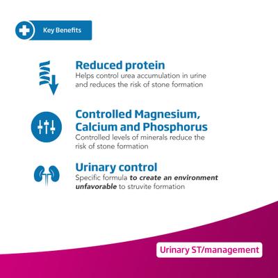 Urinary ST Management Canine Wet Dog Food, 10.58-oz can, case of 6