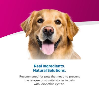 Urinary ST Management Canine Wet Dog Food, 10.58-oz can, case of 6