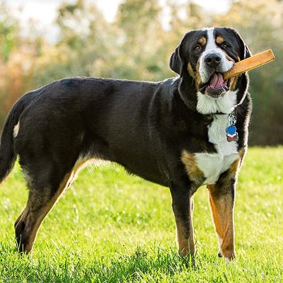 Yak Milk Jumbo Dog Value Pack Dog Chew Treats, 3 count