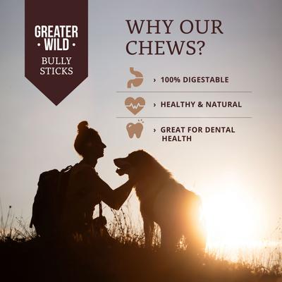 Split 12-in Bully Sticks Dog Treats, 3 count