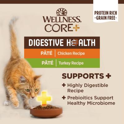 CORE+ Digestive Health Chicken & Turkey Pate Variety Pack Grain-Free Natural Wet Cat Food, 3-oz can, case of 12