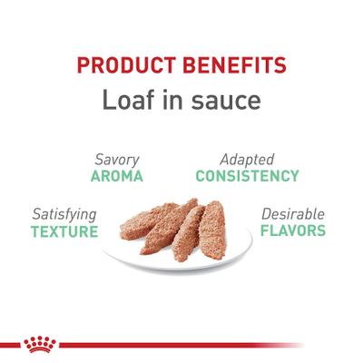 Feline Care Nutrition Digestive Care Loaf Pate Wet Cat Food, 5.1-oz can, case of 24