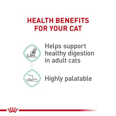 Feline Care Nutrition Digestive Care Loaf Pate Wet Cat Food, 5.1-oz can, case of 24