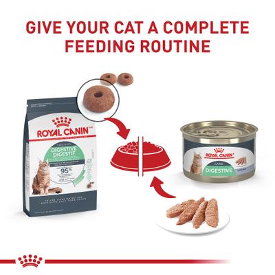Alimento húmedo para gatos Feline Care Nutrition Digestive Care Loaf Pate, lata de 5.1 oz, caja de 24