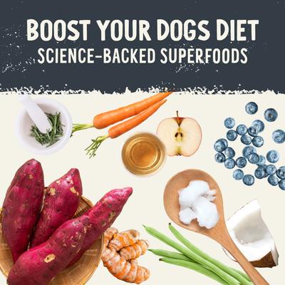 Chicken Recipe Freeze-Dried Raw Dog Food, 3.5-oz bag