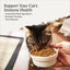 Indoor Recipe with Turkey & Chicken Grain-Free Dry Cat Food, 12-lb bag