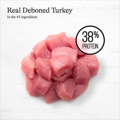 Indoor Recipe with Turkey & Chicken Grain-Free Dry Cat Food, 12-lb bag