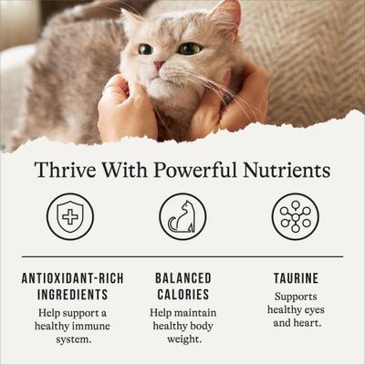 Indoor Recipe with Turkey & Chicken Grain-Free Dry Cat Food, 12-lb bag