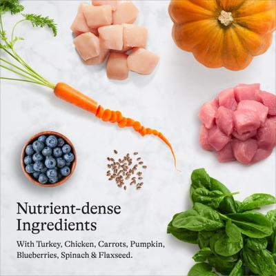 Indoor Recipe with Turkey & Chicken Grain-Free Dry Cat Food, 12-lb bag