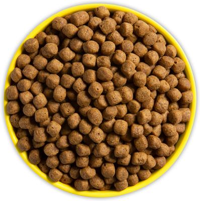 Maintenance Formula Golden Rotisserie Flavor Plant-Based Dog Dry Food, 28-lb bag