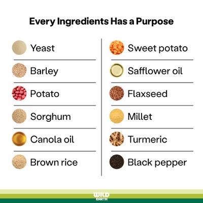 Maintenance Formula Golden Rotisserie Flavor Plant-Based Dog Dry Food, 28-lb bag