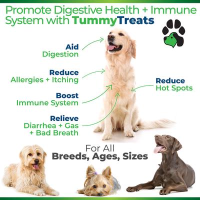 Tummy Treats Advanced Probiotic Natural Chicken Flavor Soft Chews Dog Supplement, 120 count