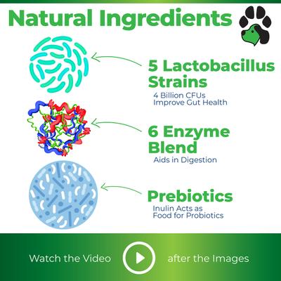 Tummy Treats Advanced Probiotic Natural Chicken Flavor Soft Chews Dog Supplement, 120 count