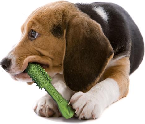 Nutri Dent Natural Dental Fresh Breath Flavored Chew Treat, Medium, 40 count