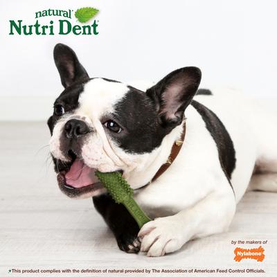 Nutri Dent Natural Dental Fresh Breath Flavored Chew Treat, Medium, 40 count