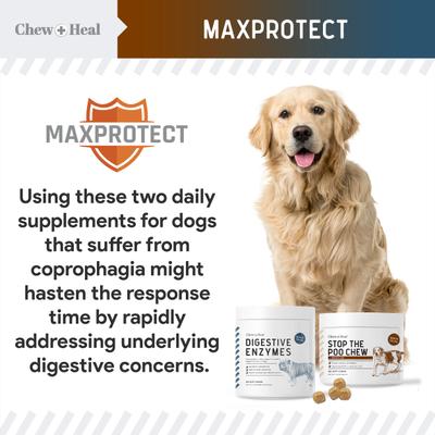 MaxProtect Coprophagia & Digestive Soft Chew Supplement for Dogs, 240 count