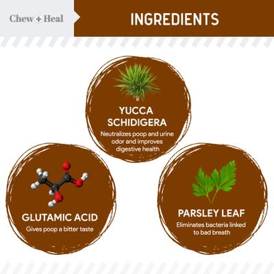 MaxProtect Coprophagia & Digestive Soft Chew Supplement for Dogs, 240 count