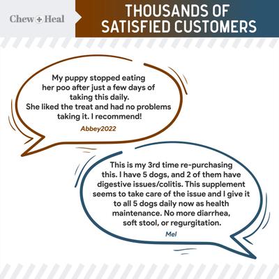 MaxProtect Coprophagia & Digestive Soft Chew Supplement for Dogs, 240 count